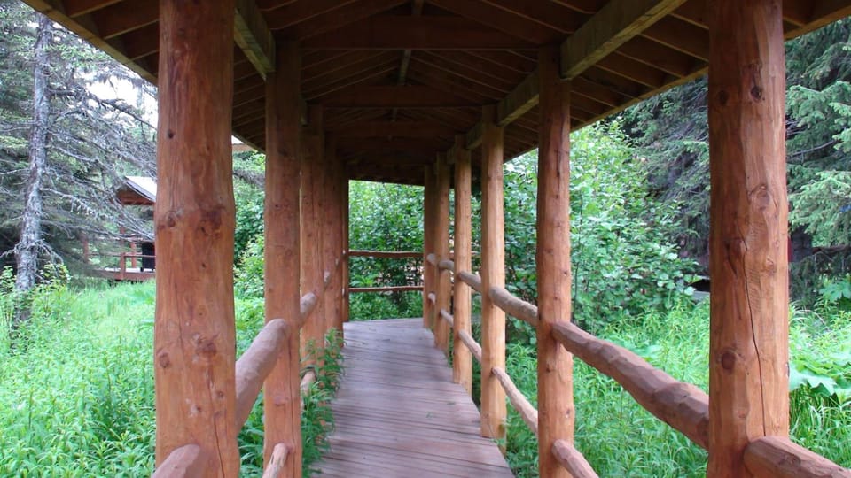 Moose Cabin Lodge in Anchor Point