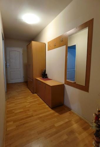 Apartmani Radivojevic Hotel in Serbia