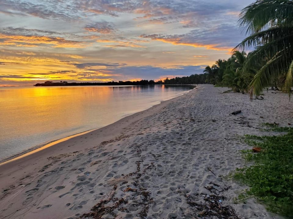 Imani's Inn Hotel in Placencia