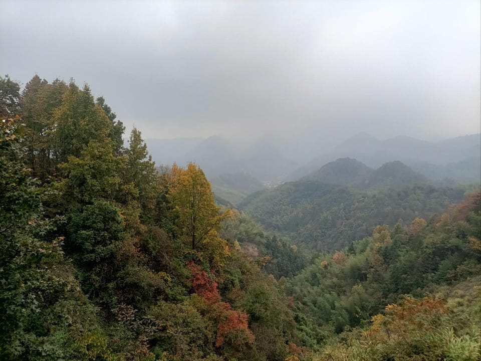 Xinrun Business Hotel Hotel in Zhejiang