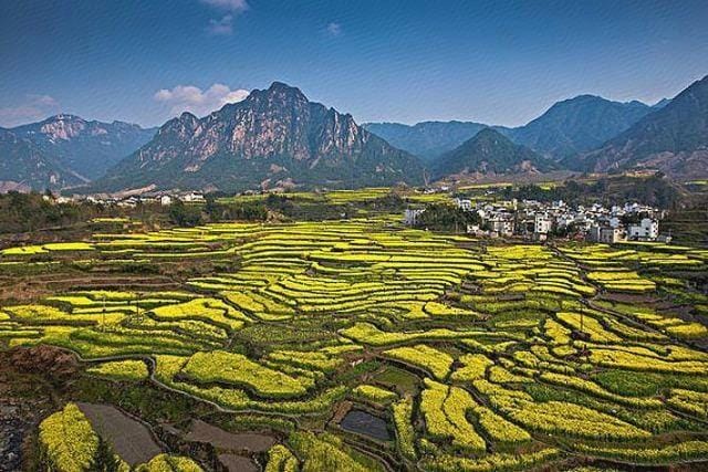 Backpacker Farmhouse Hotel in Hangzhou
