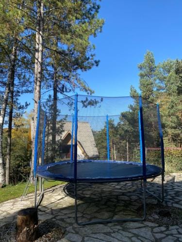 Vila Marina Divcibare Hotel in Zlatibor District, Serbia