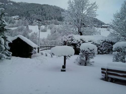 Appartement Pension Grasser Hotel in Carinthia, Austria