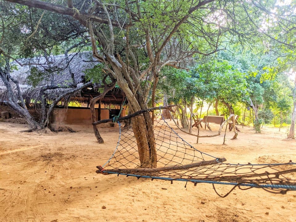 Yala Jungle Haven Lodge in Southern Province