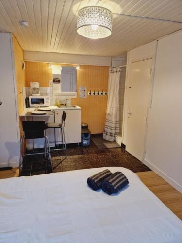 Studio independant de 15m2 proche du Comet Hotel in Orléans