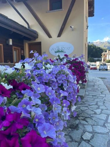 For Rest Hotel in Madesimo