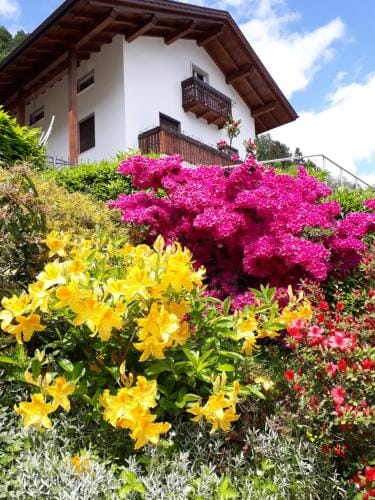 SaMeCa Hotel in Province of Brescia