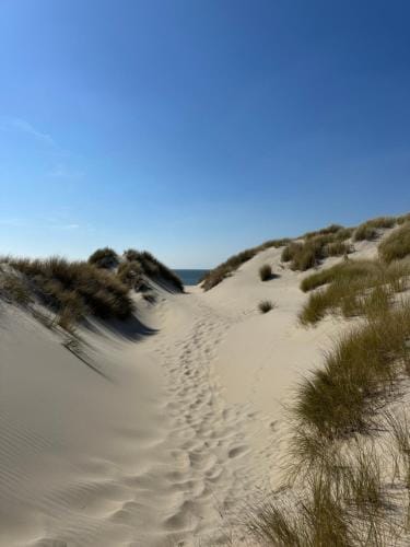 De Weie Hotel in Burgh-Haamstede