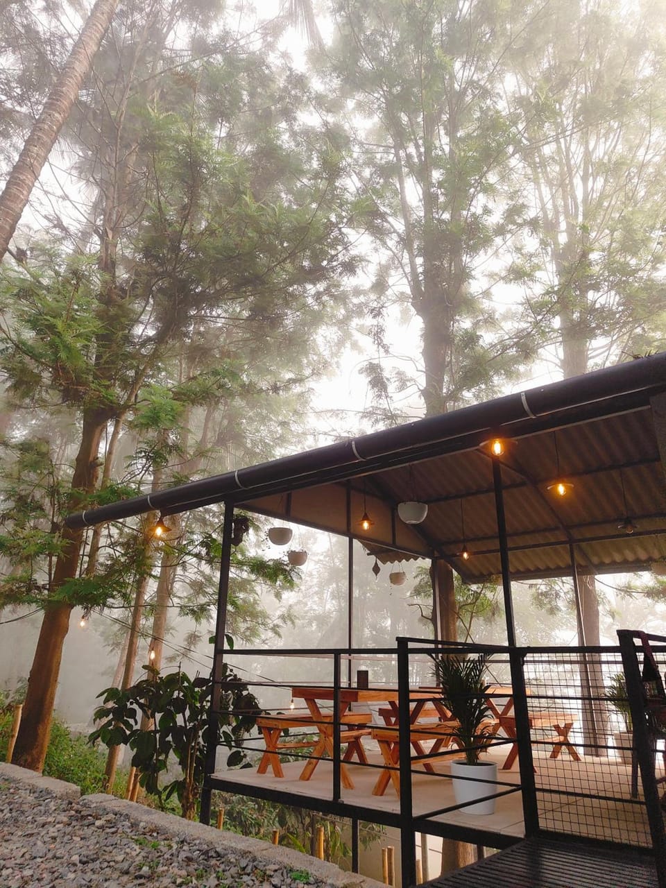 Cicadas Nature Resort Resort in Kerala
