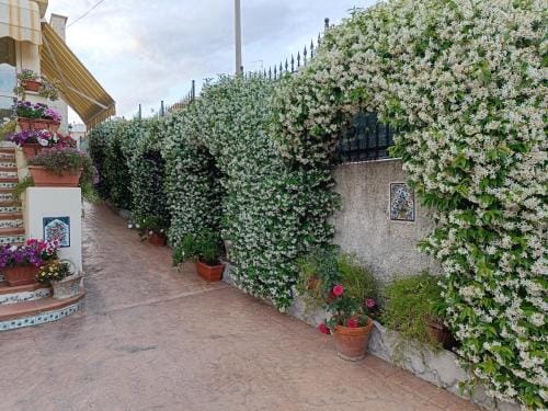 Bed and Breakfast Angolo Fiorito Hotel in Civitavecchia