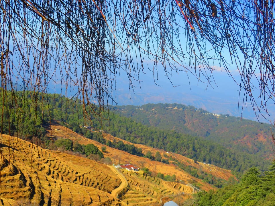Durgesh Hillock Resort Resort in Uttarakhand