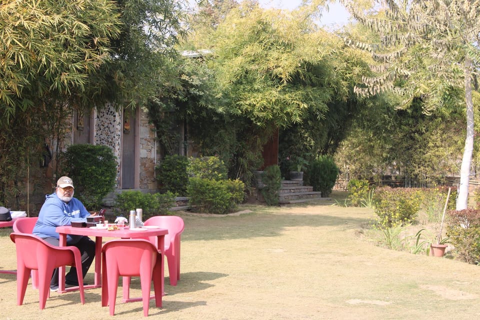 Garden