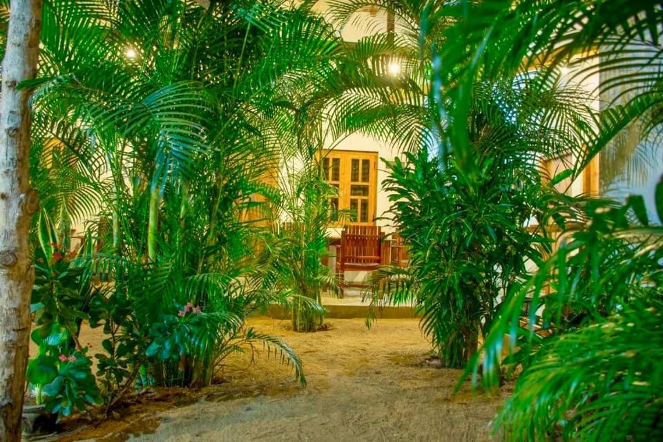 Surrounding environment