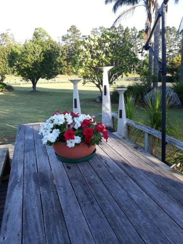 Rural Palms Hotel in Northland