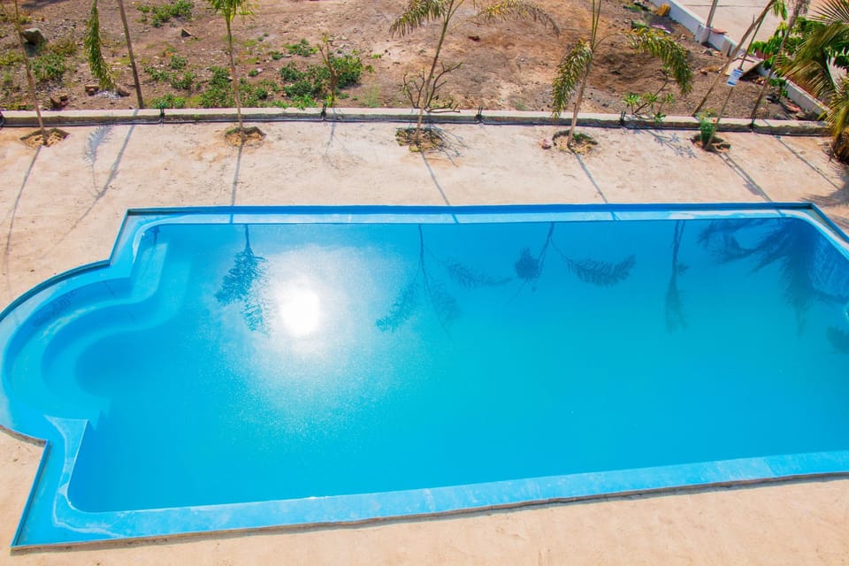 Swimming pool [outdoor]