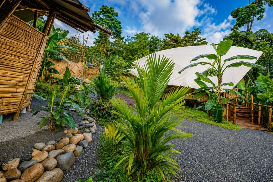 Qasa Boutique Hotel and Retreats - LGBTQ Resort in Bahía Ballena