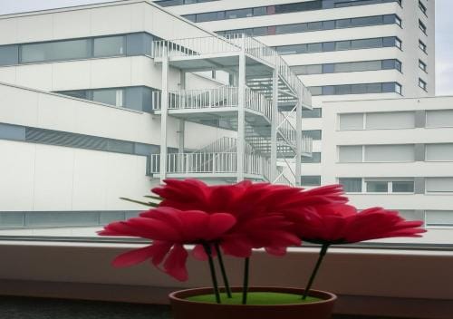 Eva Zimmer Zentral Gunstig Hotel in Heilbronn