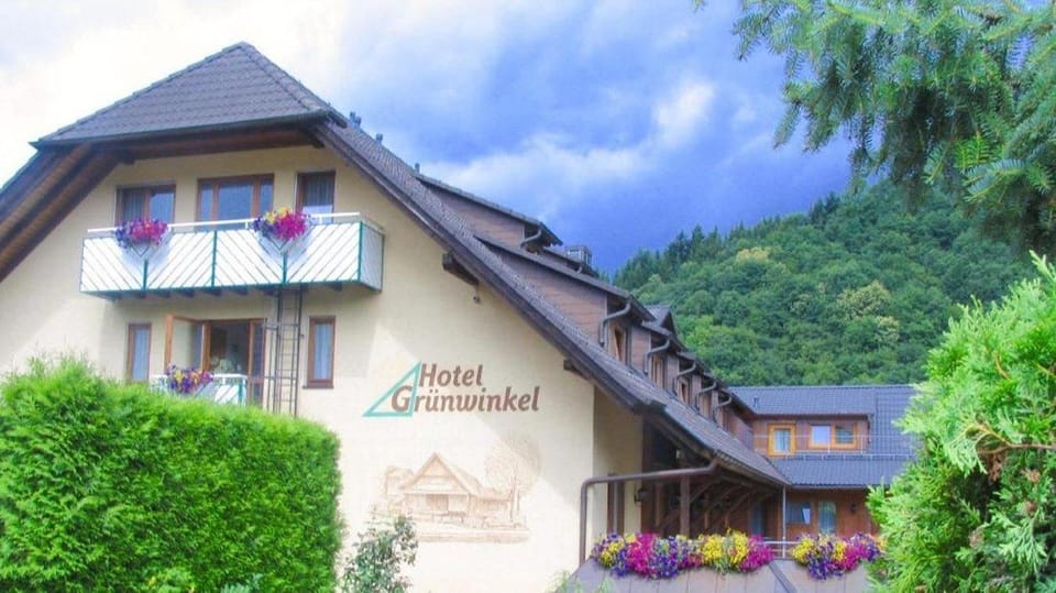 Hotel Grunwinkel Hotel in Ortenau