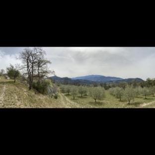 Remote cottage with valley views Chalet in Buis-les-Baronnies