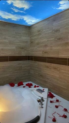 Dreams Rooms Vip 1 Hotel in Belgrade