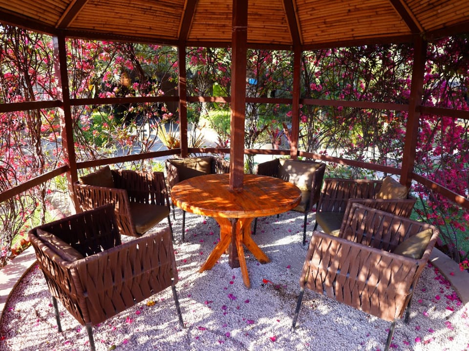 Themis Mudhouse - An Ethnic Resort Hotel in Haryana