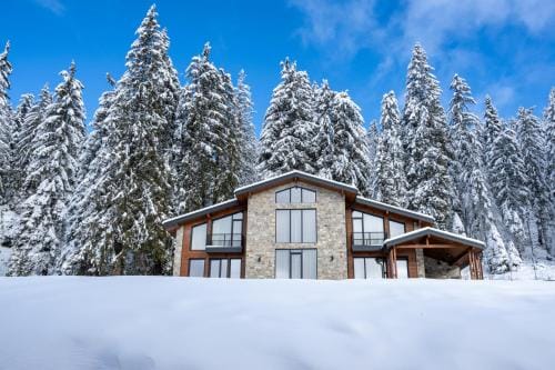 Chalet Pamporovo Hotel in Decentralized Administration of Macedonia and Thrace