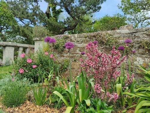 Bellevue - Boutique B&B Hotel in Finistere