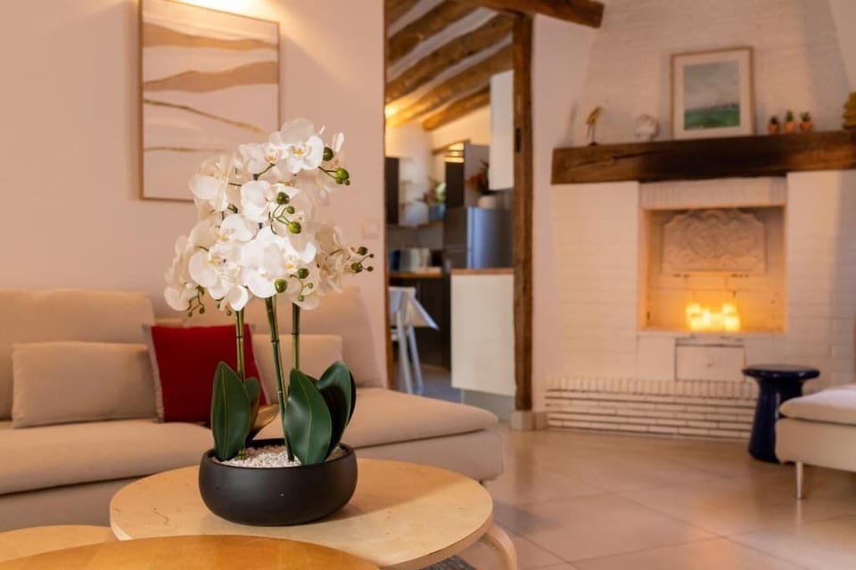 Appartements du Gué - A 10 minutes de Disneyland Hotel in Île-de-France