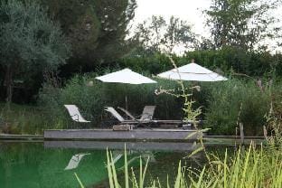 Orion Tree houses Hotel in Saint Paul de Vence