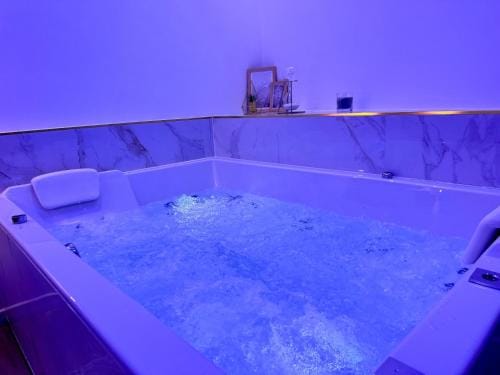 Harmonie Spa Hotel in Dijon