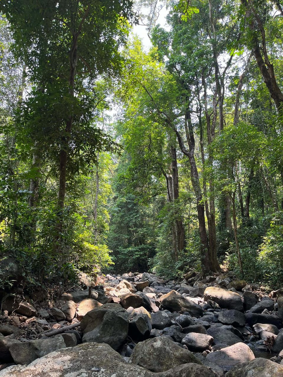 Higg Farm Resort & Glamping Hotel in Lâm Đồng