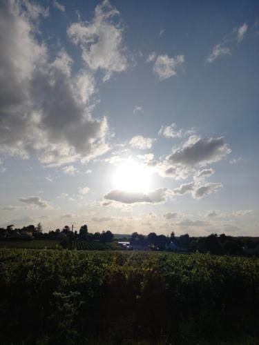 Au jardin de Florentine Hotel in Centre-Val de Loire