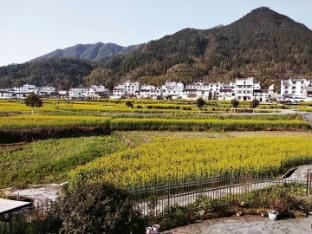 Shanyuan Hotel Hotel in Zhejiang