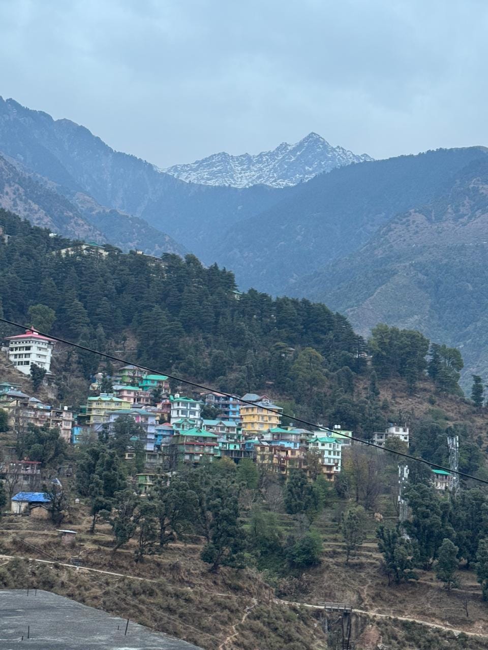 View