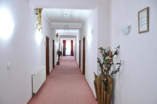 Vila Oxa Hotel in Serbia