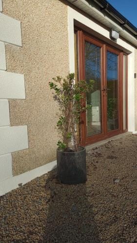 Cherry Blossom Lodge Hotel in Wicklow, Co. Wicklow, Ireland
