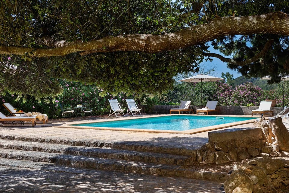 Swimming pool [outdoor]