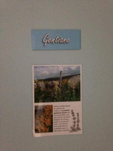 GITE DU FORAIL Inn in Auvergne-Rhône-Alpes