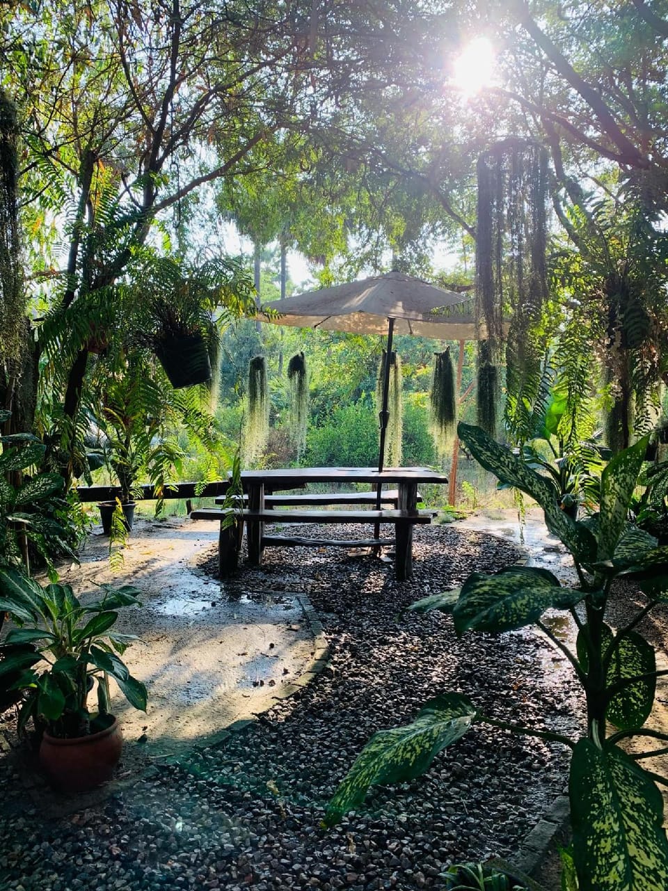 Suan Lung Rin Home Stay Bed and Breakfast in Thailand