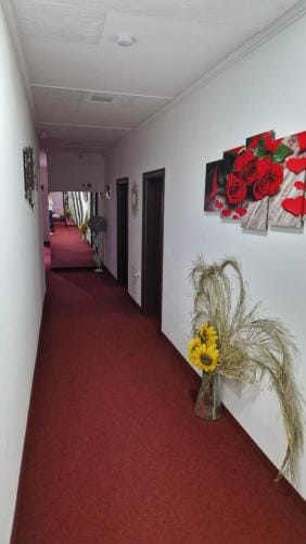 Motel Dreams Hostel in Federation of Bosnia and Herzegovina