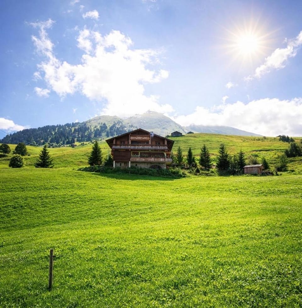Hotel Chalet Alpage Hotel in Manigod