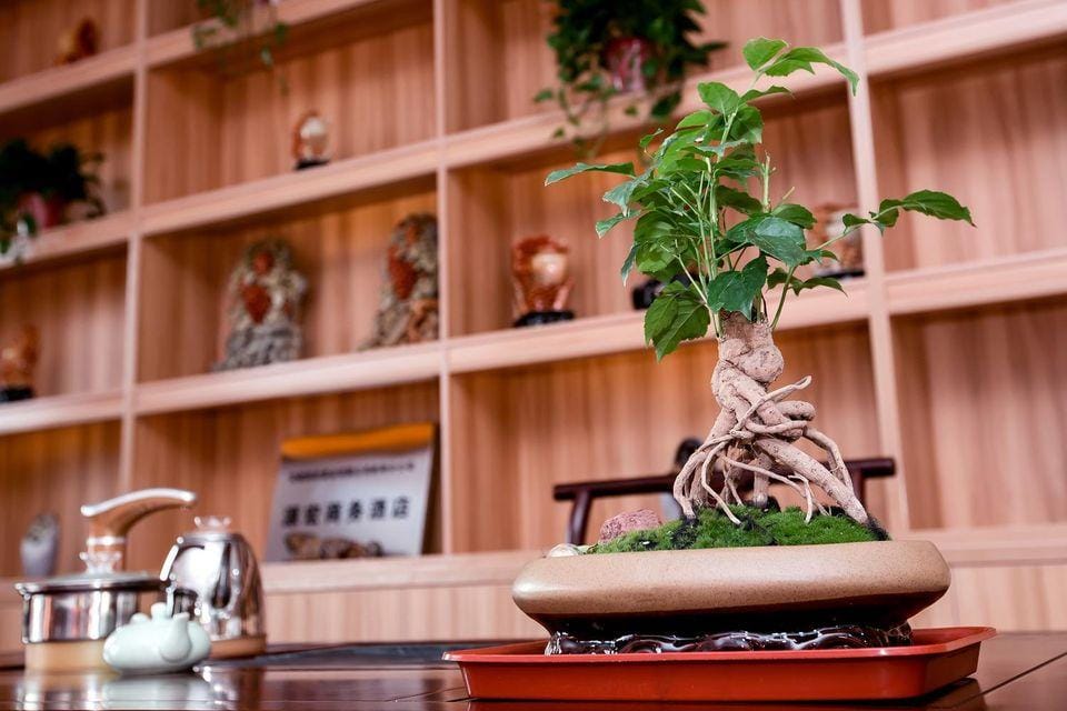 Wuyuanhong Business Hotel Hotel in Jiangsu