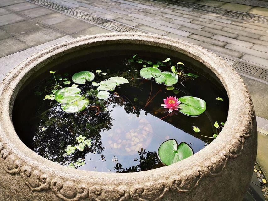 Gufu Hotel Hotel in Hangzhou