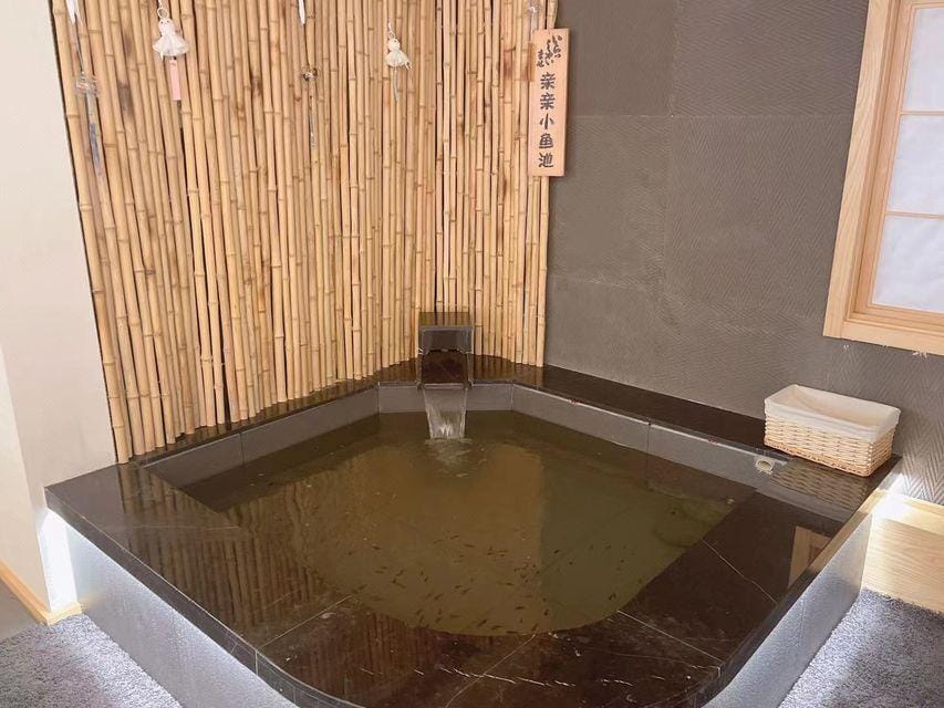 Liangsu Japanese Hot Spring Hotel Hotel in Nanjing