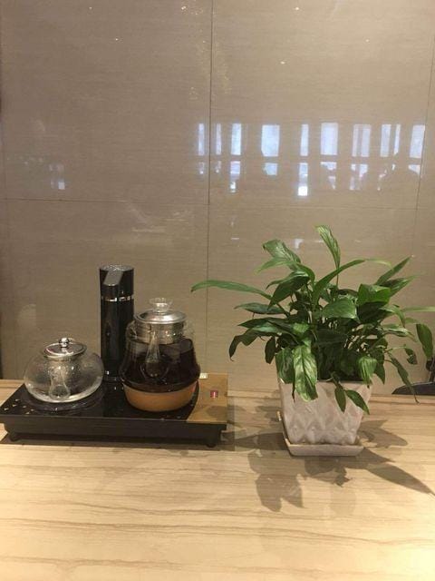 Baiyang Hotel Hotel in Hubei