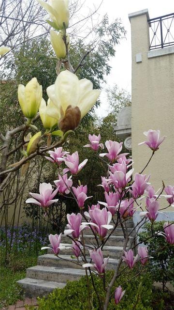 Tianquan Resort Hotel in Jiangsu