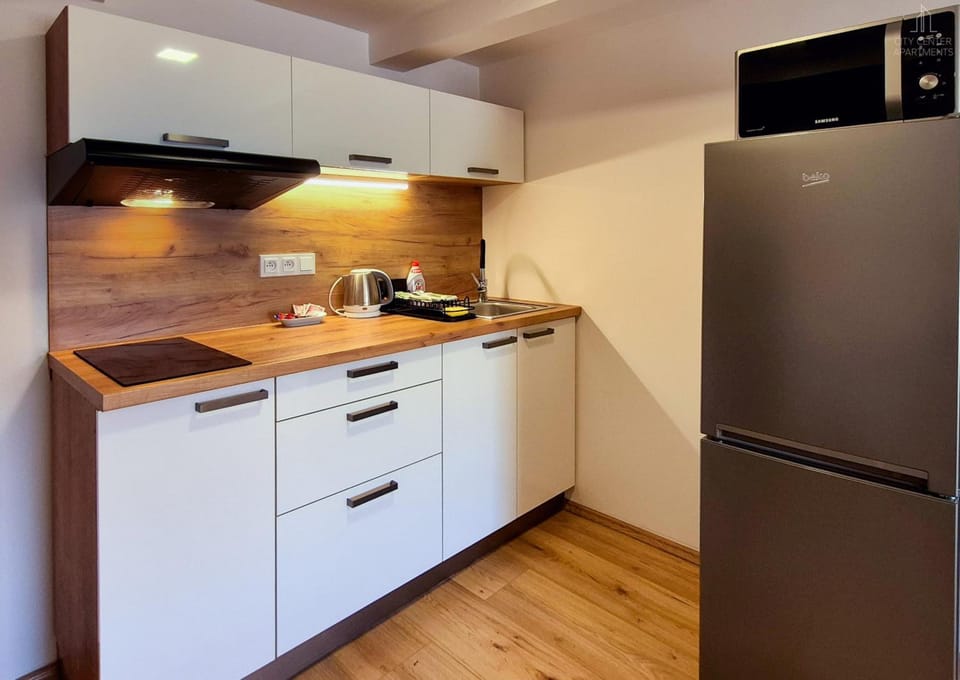 Apartmá Gabriela Apartment hotel in Brno