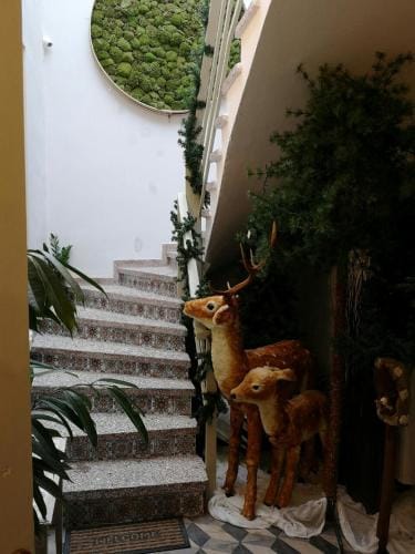 Sali Boutique hotel Hotel in Alexandroupoli