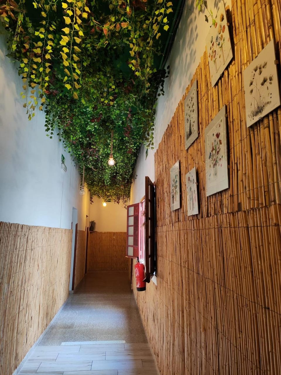 Hostel Vagamundo Hostel in La Palma