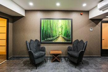 Lux & Spa Zen Hotel in Serbia